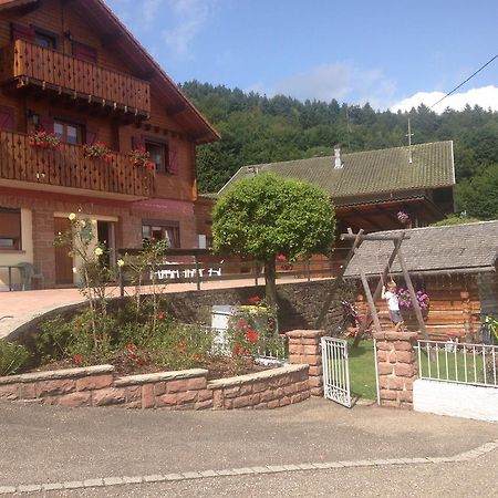 Gites Les Pins Et Les Bruyeres Wangenbourg-Engenthal Exteriér fotografie